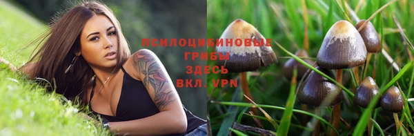 герыч Алексеевка
