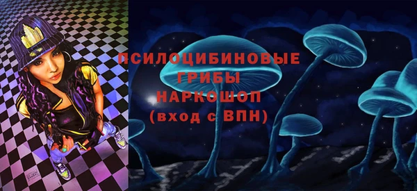 мдпв Алексин