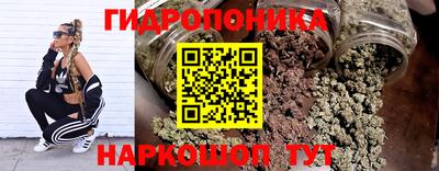 шишки Кинель