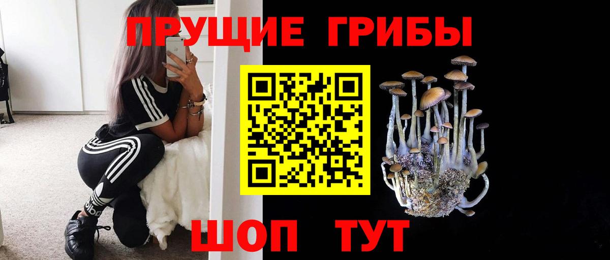 Галлюциногенные грибы GOLDEN TEACHER  Псилоцибиновые грибы прущие грибы  купить наркотик  Кимры  Вход с VPN 
